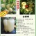 白色甜椒苗。品种新奇，欢迎试种！苗厂直发。