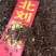北刘寄奴阴行草支持线上交易可搭配多品种量大包邮