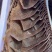 牛百叶、毛肚a货