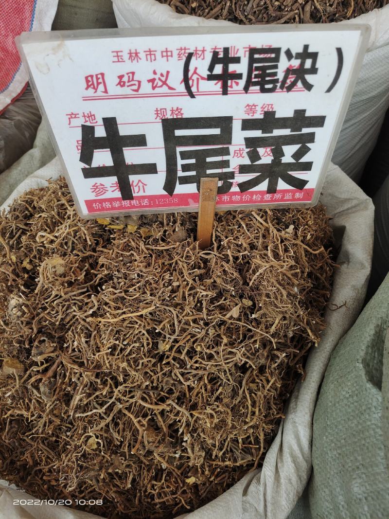 中药材牛尾菜牛尾诀保证质量货源充足