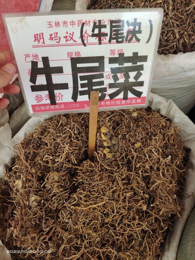 中药材牛尾菜牛尾诀保证质量货源充足