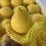 黄晶果7月上市，可对接全国批发商及电商，品质保证！