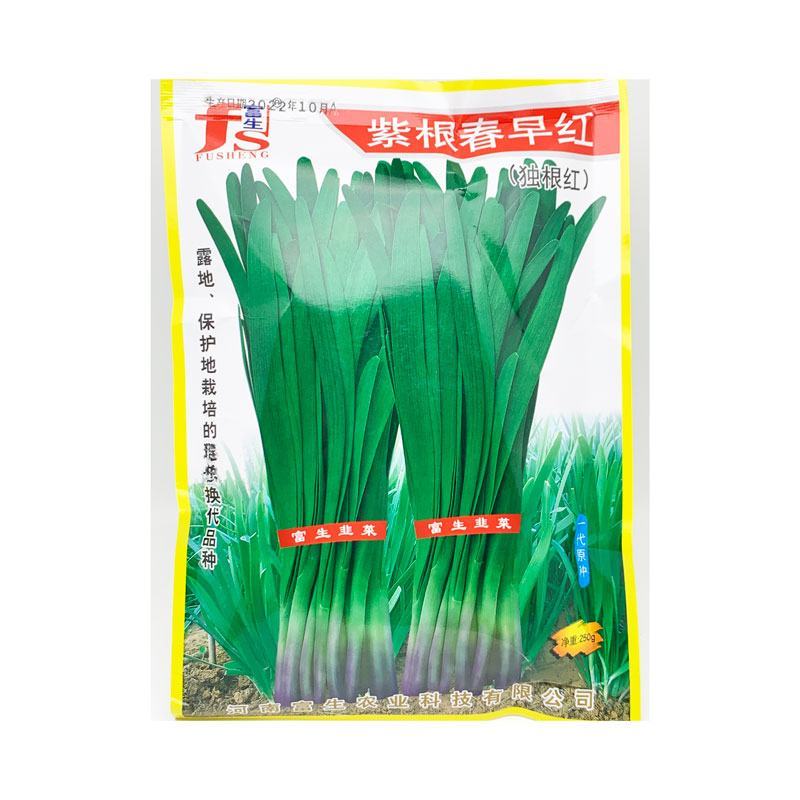 富生紫根早春红独根红韭菜种子耐寒春季早发休眠红根韭菜种