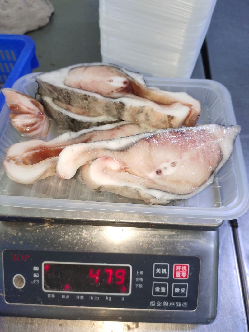 山东威海厂家批发新鲜海参斑，海参斑鱼，海参斑鱼切片，量大
