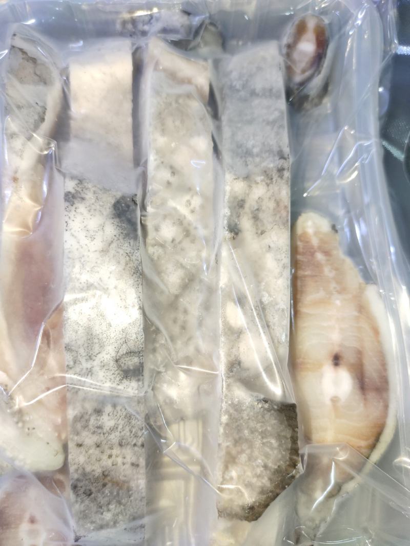山东威海厂家批发新鲜海参斑，海参斑鱼，海参斑鱼切片，量大