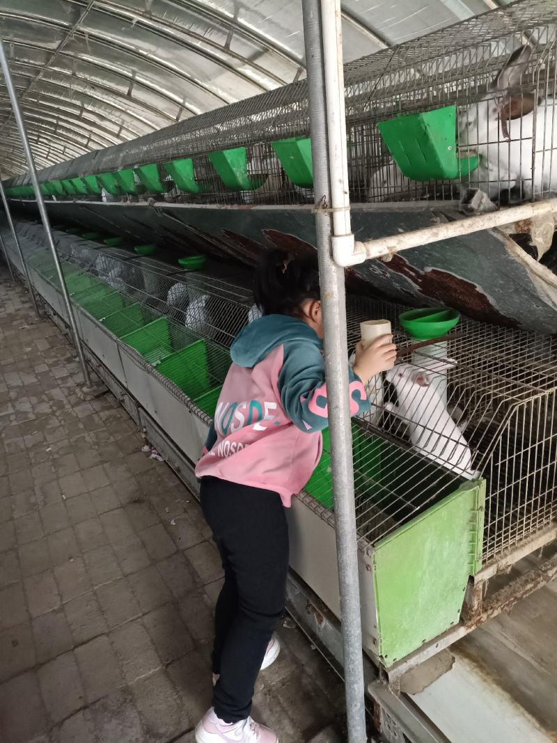 比利时