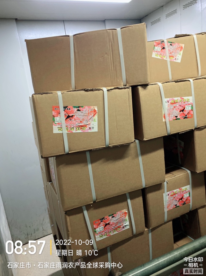董大真系列梅花肉仔粒适用火锅串串中餐煎烤