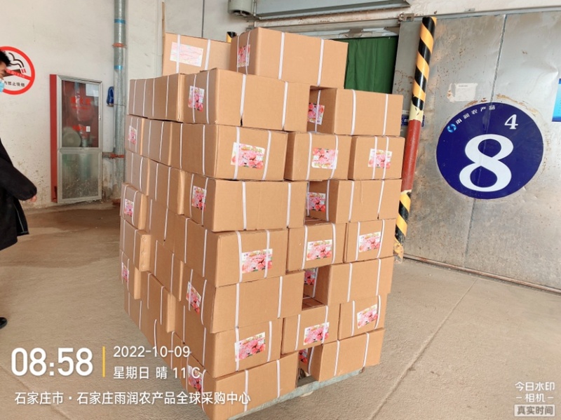 董大真系列梅花肉仔粒适用火锅串串中餐煎烤