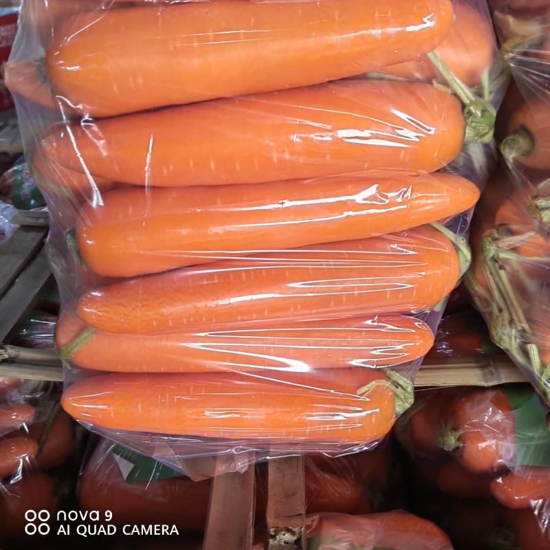 新鲜胡萝卜货源多价格好可视频看货精品