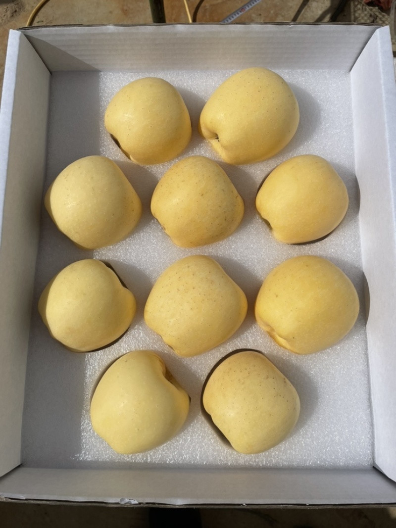 维纳斯黄金苹果60～65精品