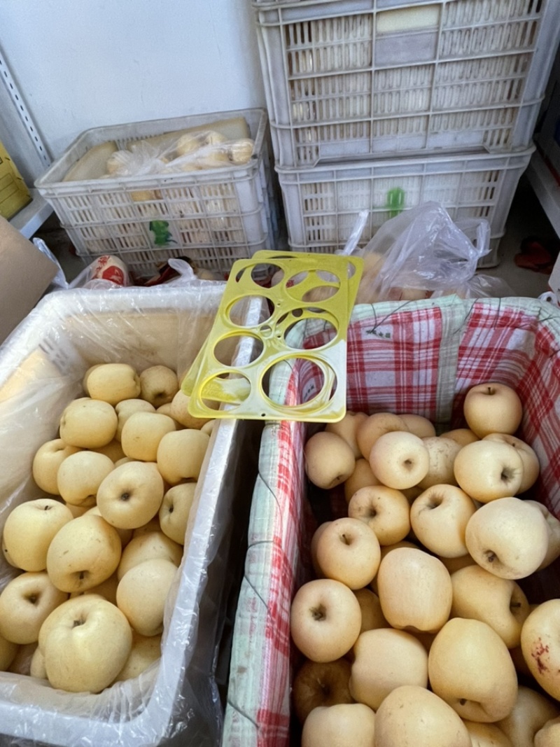 维纳斯黄金苹果60～65精品