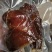 全熟酱香猪肉麻辣五香开袋即食黑胡椒牛肉