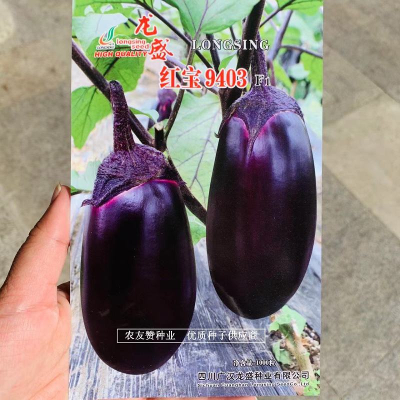 龙盛罐茄种子杂交一代茄子品种紫红茄子种子果肉白色丰产