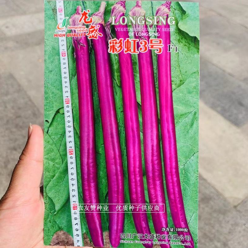 早熟杂交一代长线茄种子红线茄种子果面紫红油亮肉白色