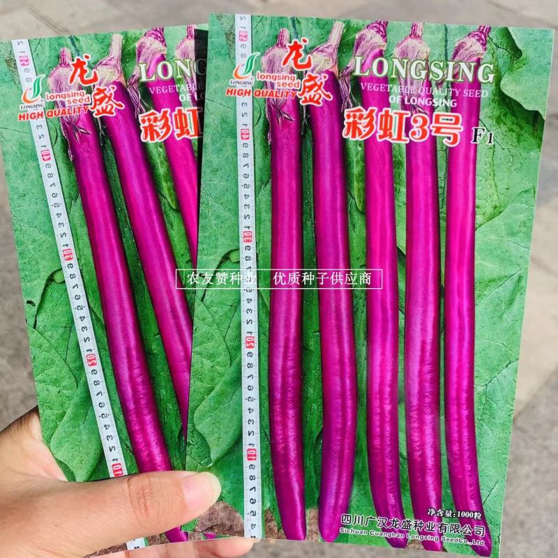 早熟杂交一代长线茄种子红线茄种子果面紫红油亮肉白色