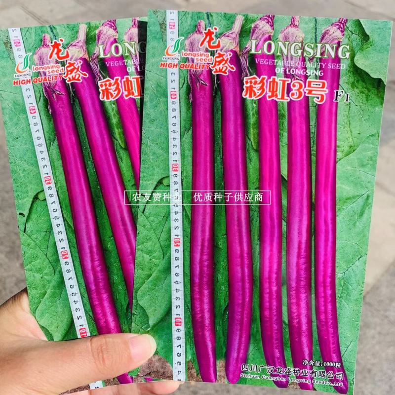 早熟杂交一代长线茄种子红线茄种子果面紫红油亮肉白色