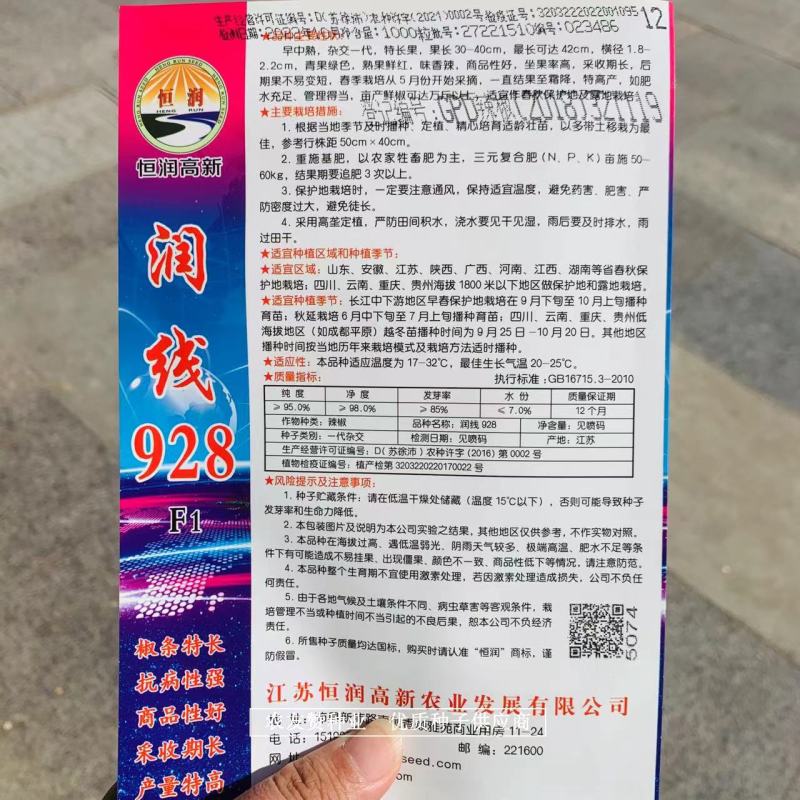 恒润公司润线928长线椒种子特高产抗病香辣线椒种籽