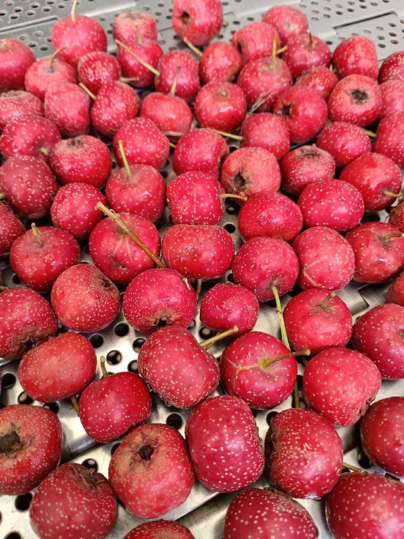山楂甜红子山楂可直接食用的甜口山楂
