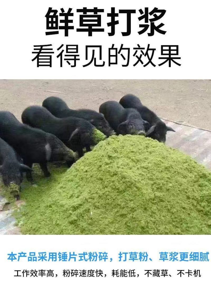 超细牧草打浆机三相电柴油机均可使用，适合喂养猪鸵鸟鸡鸭鹅