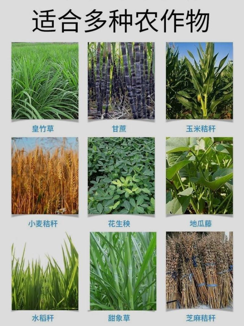 超细牧草打浆机三相电柴油机均可使用，适合喂养猪鸵鸟鸡鸭鹅