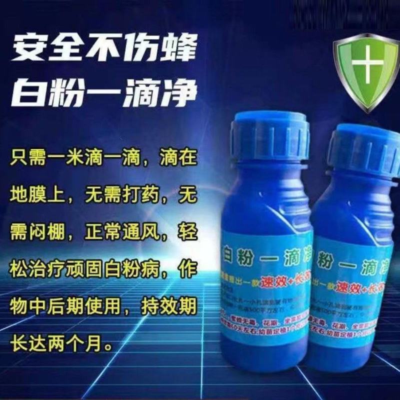 白粉一滴净大棚果蔬专用草莓甜瓜黄瓜西瓜冬瓜辣椒茄子等