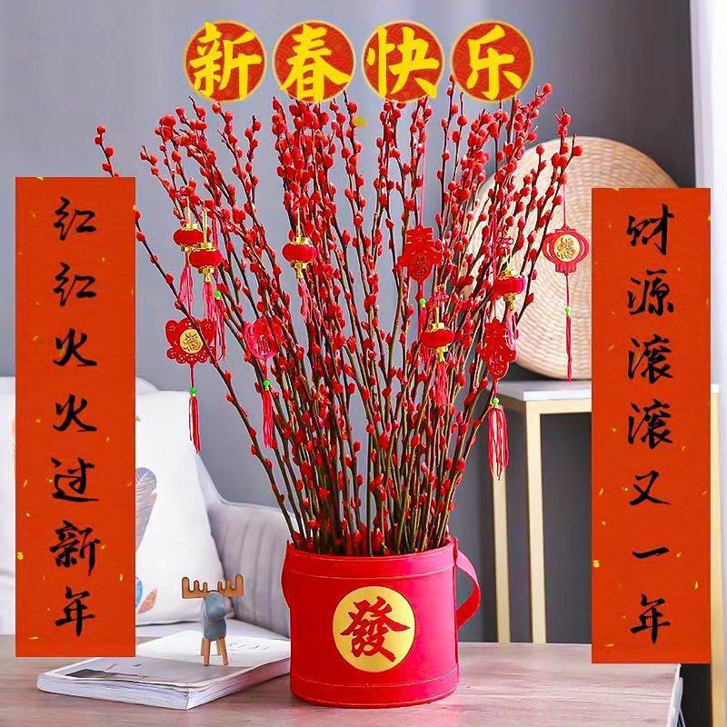 银柳鲜枝真花干花客厅桌面插花红色喜庆年宵花卉冬季鲜切花枝