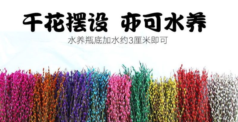 银柳鲜枝真花干花客厅桌面插花红色喜庆年宵花卉冬季鲜切花枝