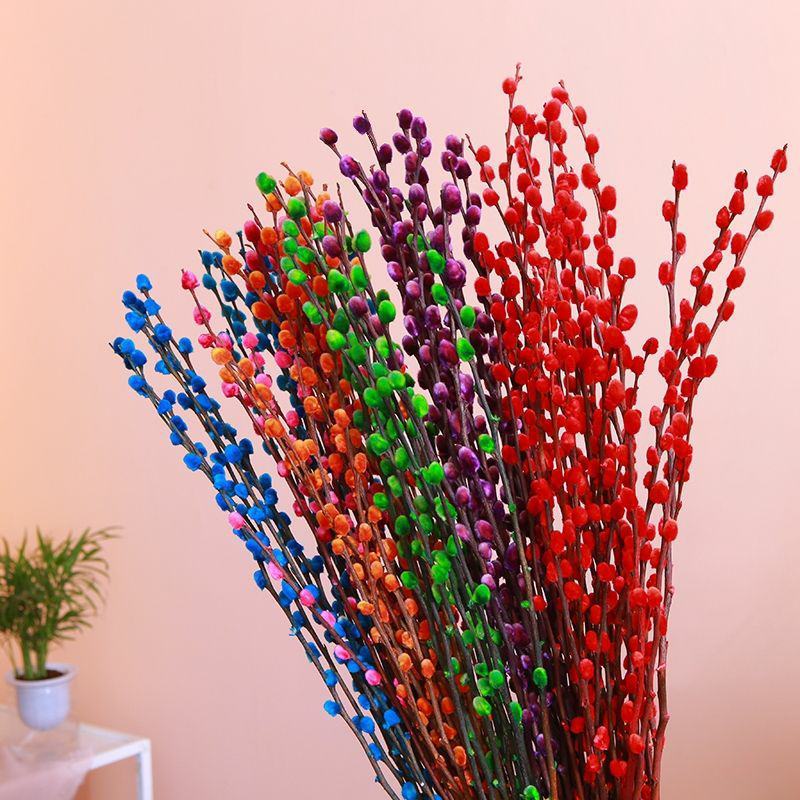 银柳鲜枝真花干花客厅桌面插花红色喜庆年宵花卉冬季鲜切花枝