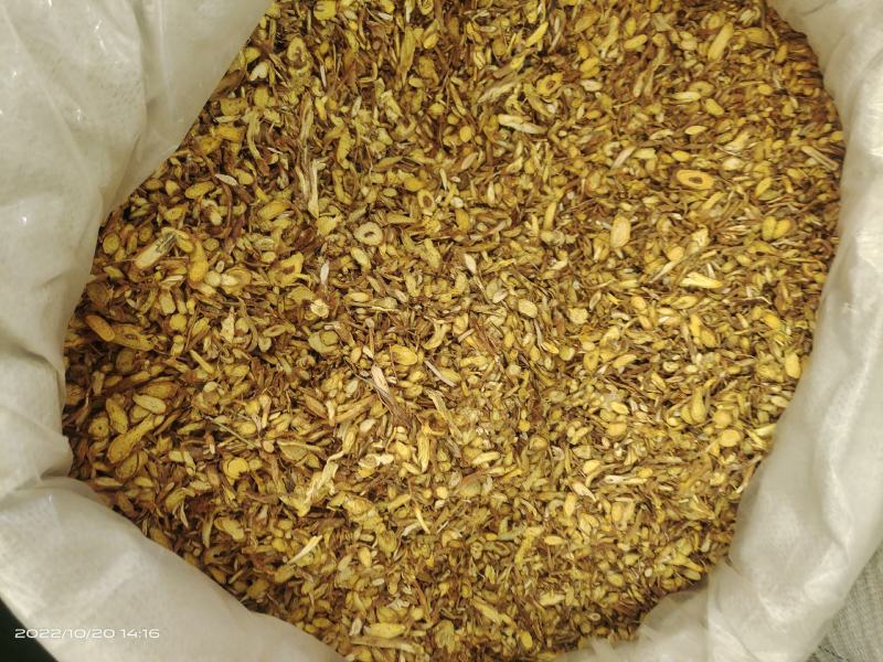 中药材黄芩保证质量货源充足睿安中药材批发