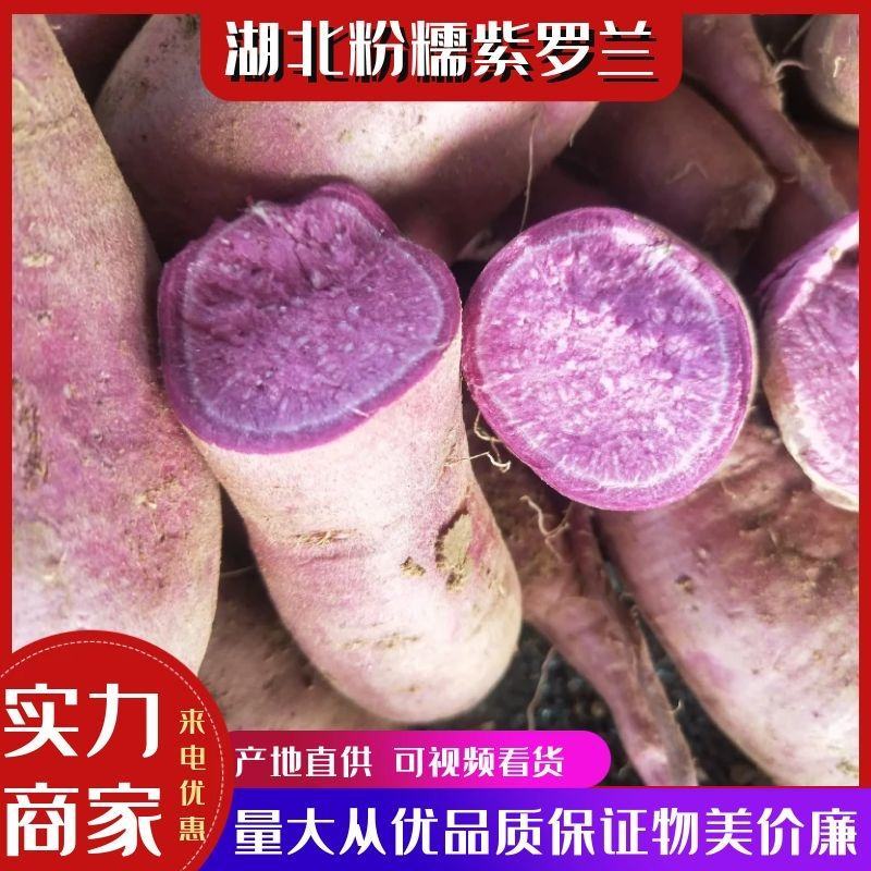 【商超品质】粉糯紫薯粉糯紫罗兰口感香甜量大从优