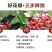 优质花椒