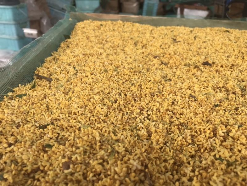 2022年鲜桂花干桂花茶