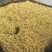 2022年鲜桂花干桂花茶