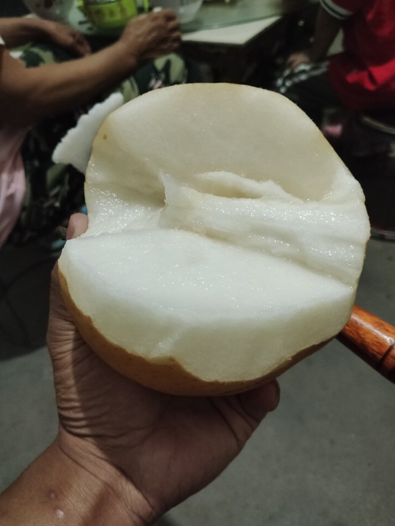 晚秋黄梨大量上市，欢迎新人老客户前来选购