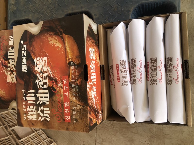 批发商超烟薯25地瓜红薯烟薯一件代发