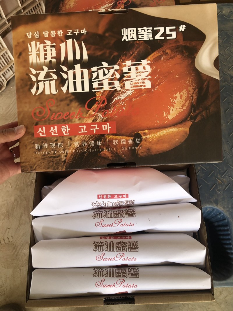 批发商超烟薯25地瓜红薯烟薯一件代发