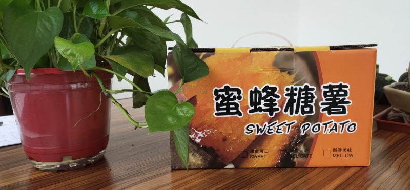 批发商超烟薯25地瓜红薯烟薯一件代发