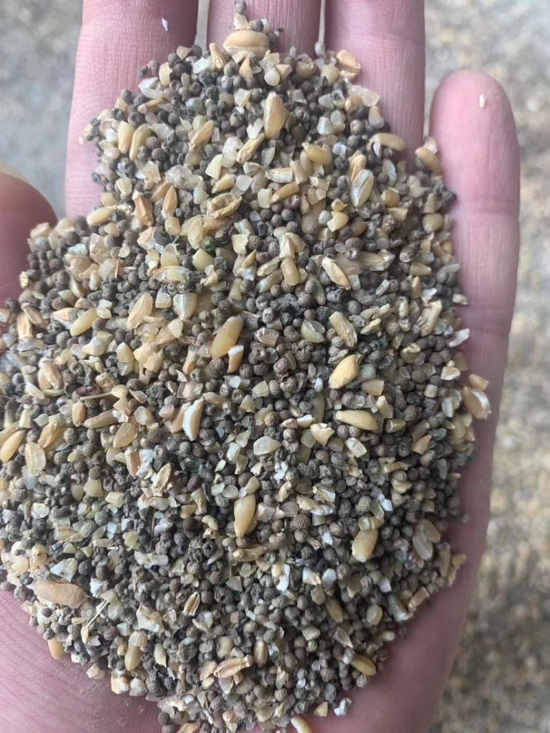 碎小麦，鸡鸭鹅牛羊粮，可降低成本，厂家大量出货量大从优。