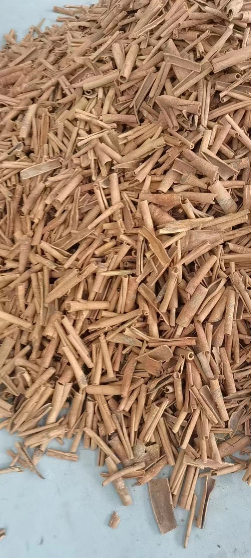 出口香料桂皮中高低端产地直发