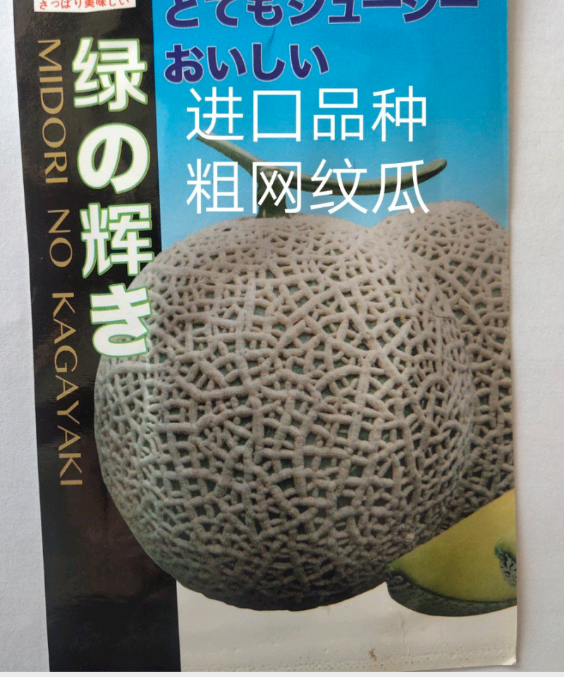 栢格夏甜瓜种子粗网纹哈蜜瓜种子商品性好口感好果形正圆