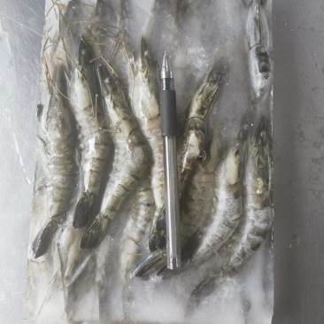 黑虎虾