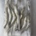 黑虎虾