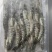 黑虎虾