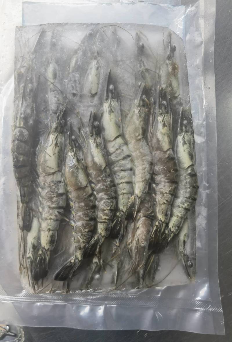 黑虎虾