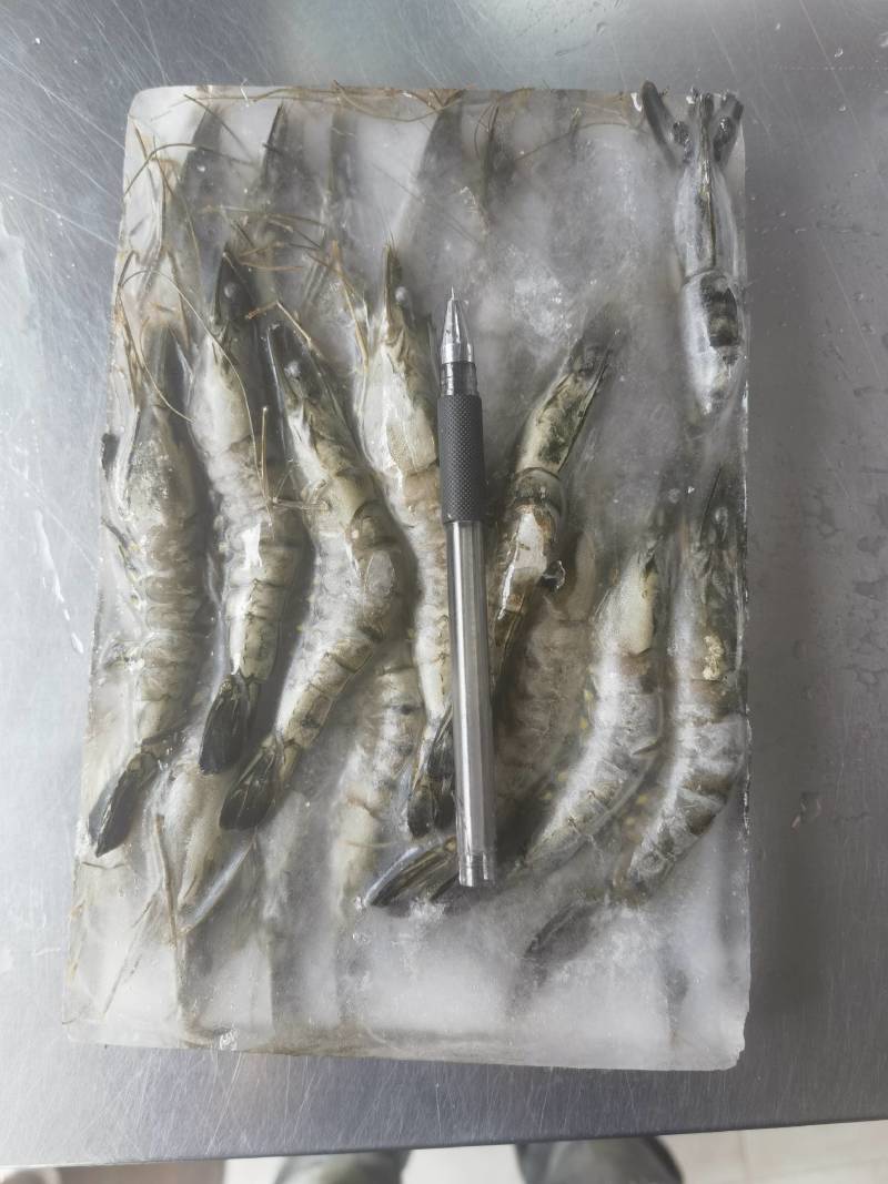 黑虎虾