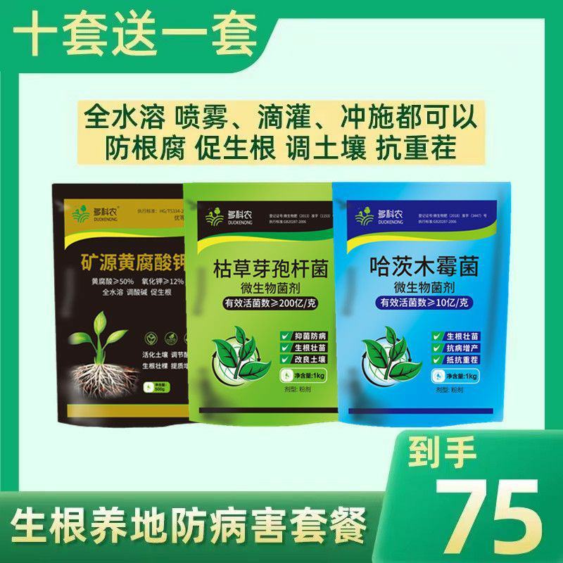 枯草芽孢杆菌2斤生根壮苗抗重茬防病害微生物菌剂肥料