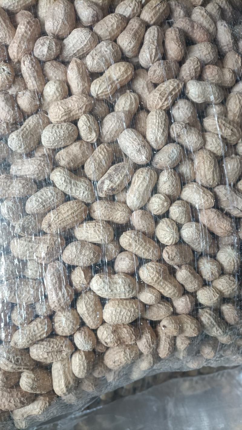 ，罗汉果花生，风选果，小白沙，花生，干货，