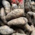 天麻。常年供应天麻，鲜货欢迎咨询下单。开展销会摆地摊。