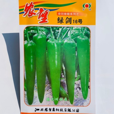农望绿剑16号辣椒种子杂交一代青皮尖椒种子大羊角形辣椒