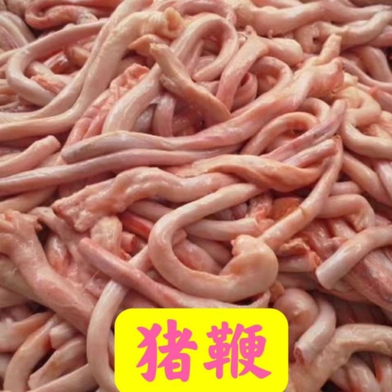 猪鞭去油猪鞭猪鞭子猪鞭一件20斤精修猪鞭开肚猪鞭